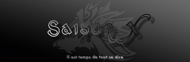 bannière saison X
